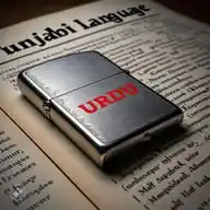 Punjabi Vichar WhatsApp Channel