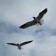 Share "ʚɞ WhatsApp Channel
