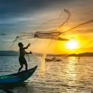 SHUSHA NYAVU TRUST ENTERPRISES WhatsApp Channel