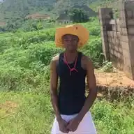 Stubborn Home WhatsApp Channel