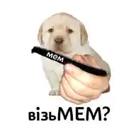 візьМЕМ WhatsApp Channel
