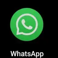 What's App Public WhatsApp Channel