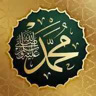 Zulfi Subhani WhatsApp Channel