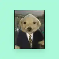 Los Papus Z WhatsApp Channel