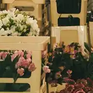 narblenarble 🎀 WhatsApp Channel