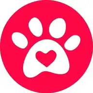 Caniverona WhatsApp Channel