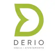 Derioko Udala WhatsApp Channel