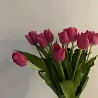 rִᥱmׄ𝗶ᥒֽ𝗱ᥱ͠rִ WhatsApp Channel