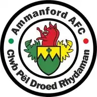 Ammanford AFC  WhatsApp Channel