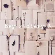bey's diary🎀 б WhatsApp Channel