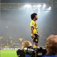 BVB WhatsApp Channel