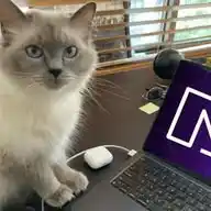 Datcctvguy WhatsApp Channel