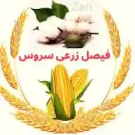 Faisal Zari Service WhatsApp Channel