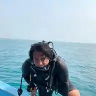 Jellypastaa WhatsApp Channel