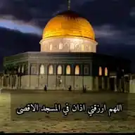 کانال مجاهدین فلسطین WhatsApp Channel
