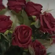 نُّورٌ عَلَى نُور🎀✨ WhatsApp Channel