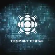 Oesmart Digital WhatsApp Channel