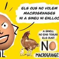 Plataforma Macrogranges NO WhatsApp Channel