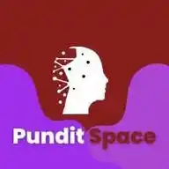 Pundit Space ( Home For Global Remote Tech Jobs) WhatsApp Channel