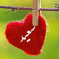 سعيد غلجی WhatsApp Channel