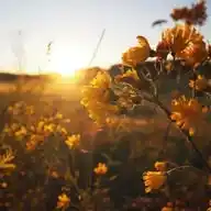 تعبير وفائده للمعبره أم مشعل🌿 WhatsApp Channel