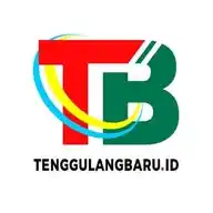 Tenggulangbaru.id WhatsApp Channel
