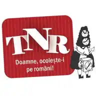Times New Roman WhatsApp Channel