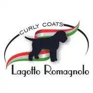 Curly Coats Lagotto Romagnolo 🐾🐾 WhatsApp Channel