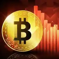 Free Crypto Signals 🔥 WhatsApp Channel