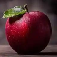 FRUITS RETAIL MARKET COIMBATORE WhatsApp Channel