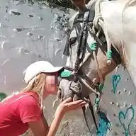 Klara.Ponyhof WhatsApp Channel