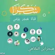 قناة هنجر يومي WhatsApp Channel