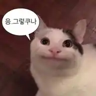 밈 Ramdon WhatsApp Channel