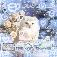 🦉⃢⃟፝֟͡⏤͟͟͞͞ᩘ𝗍֢һ໊᪶ᥱ̫҈ O⃟̫֟፝ٚ͠ᥕ̫ᥣ 𝕮֢᪲᥆𝖿໊᪶𝖿ᥱ໊ᩬᥱᩘ̫ᥫ᭡֪ WhatsApp Channel