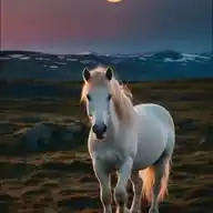 @Beacon Sparkles~Offical. Drop- mindset WhatsApp Channel