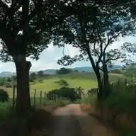 Coisas Da Roça WhatsApp Channel