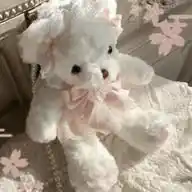 delightful lilium ^~^ WhatsApp Channel