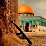 فکري سنګر WhatsApp Channel