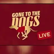 Gone To The Dogs Live WhatsApp Channel