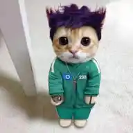 Momazos Thanos WhatsApp Channel