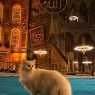 ‏وَوَجَدَكَ ضَالًّا فَهَدَىٰ🤎👑))." WhatsApp Channel