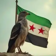 وظائف شاغره داخل سوريا WhatsApp Channel