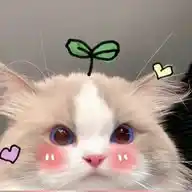 Pink  WhatsApp Channel