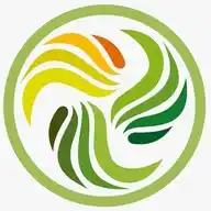 Red Iberoamericana de Medio Ambiente (REIMA, A.C.) WhatsApp Channel