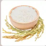 Sakshi Export And Import 2 Star Export Business WhatsApp Channel