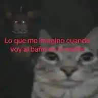 Un adolescente hormonal WhatsApp Channel