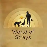 World.of.Strays-2014 WhatsApp Channel