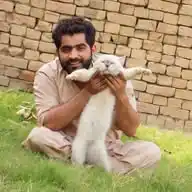 Zeesh Qaisrani WhatsApp Channel