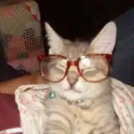 a la vani le gusta Imantado :o WhatsApp Channel