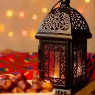 Ahmed WhatsApp Channel